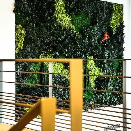 Le Kube Centre Prestige אנסי